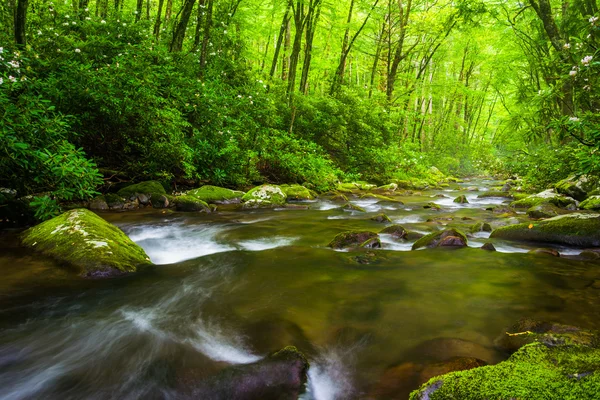 Cascate nel fiume Oconaluftee, a Great Smoky Mountains Nati — Foto Stock