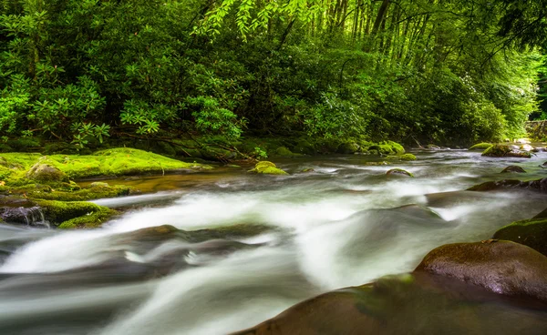Cascades in the Oconaluftee River, at Great Smoky Mountains Nati — Stock Photo, Image