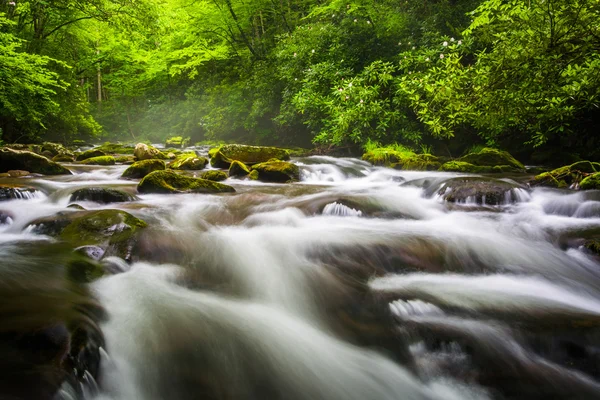 Cascade în râul Oconaluftee, la munții Great Smoky Nati — Fotografie, imagine de stoc