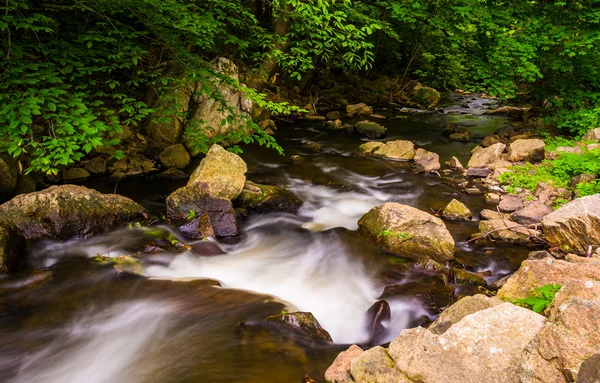 Cascatas em Antietam Creek perto de Reading, Pensilvânia . — Fotografia de Stock