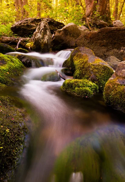 Cascades south River, shenandoah nationalpark, virginia. — Stockfoto