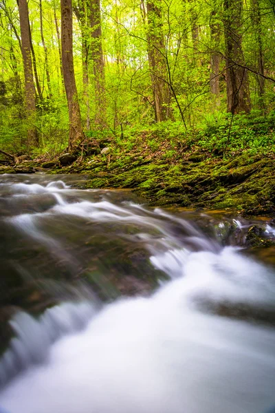 Kaskaden an einem Bach in Holtwood, Pennsylvania. — Stockfoto