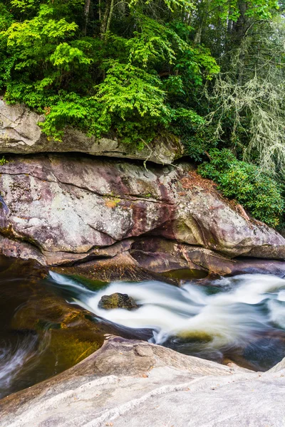 いいえ nantahala の国有林の cullasaja 川にカスケードします。 — ストック写真