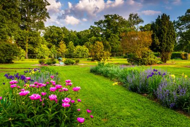 druid hill Park, Baltimore, bir bahçede rengârenk çiçeklerle m