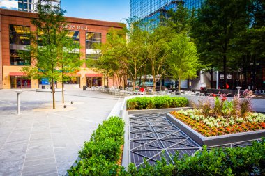 şehir merkezinde charlotte, north carolina avluda. 