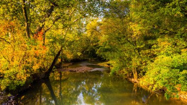 Kırsal Adams County, Pennsylv bir dere boyunca erken sonbahar renk