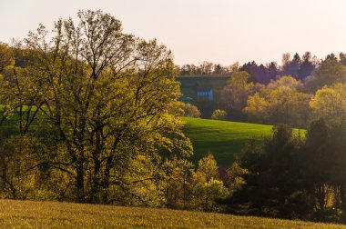 ağaçlar üzerinde ışık akşam ve Güney york County tepeler haddeleme