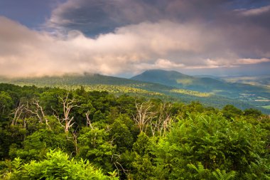 piedmont shenandoah ulus manzarası sürücüden akşam manzarası