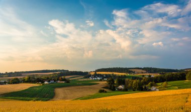 inişli çıkışlı tepeler ve tarım alanları kırsal york ülkeleri içinde görünüm akşam