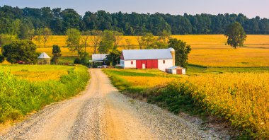 çiftlik kırsal york County, pennsylvania bir toprak yol boyunca. 
