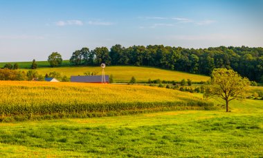 çiftlik ve haddelemeler hills kırsal york County, pennsylvania. 