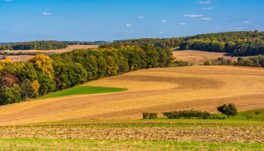 tarım alanları ve tepeler kırsal Güney york county, tükenmez kalemle