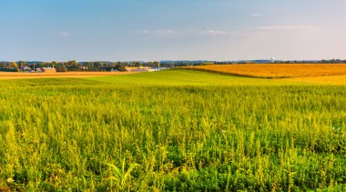 tarım alanları ve tepeler yakınındaki hanover, pennsylvania. 
