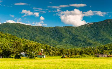 tarım alanları ve blue ridge dağlarının shenando içinde görünüm
