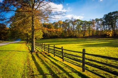 çit ve kırsal york county, pennsy bir ülkede yol boyunca ağaç