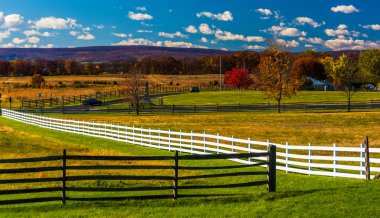çitler ve gettysburg, pennsylvania alanları. 
