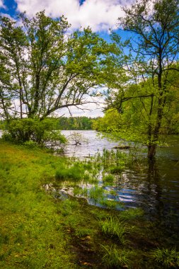 Flooding along the shore of Loch Raven Reservoir in Baltimore, M clipart