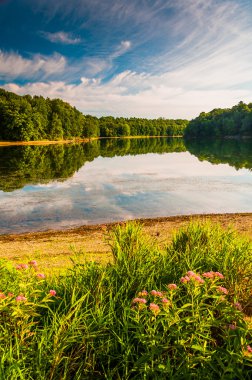 çiçekler ve göl marburg, sahil codorus state Park, pe