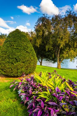 Flowers and trees at the Public Garden in Boston, Massachusetts. clipart