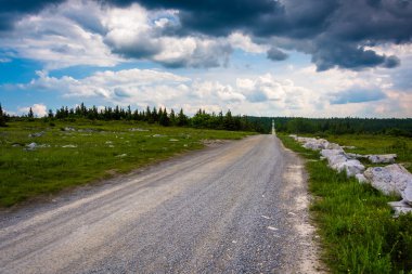 orman yolu 75 ayı kayalar, korumak, dolly sods wilderness içinde,
