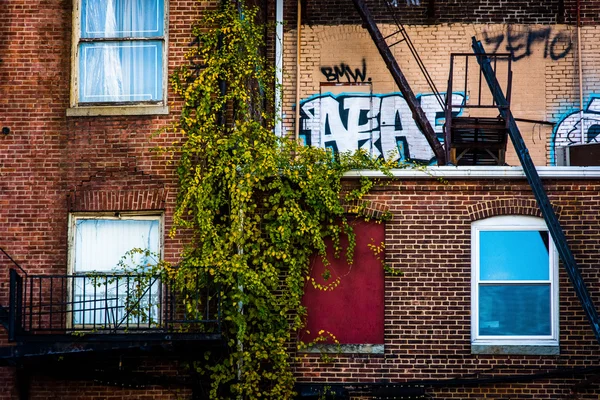 Vista de cerca de edificios antiguos en el centro de Baltimore, Maryland . — Foto de Stock