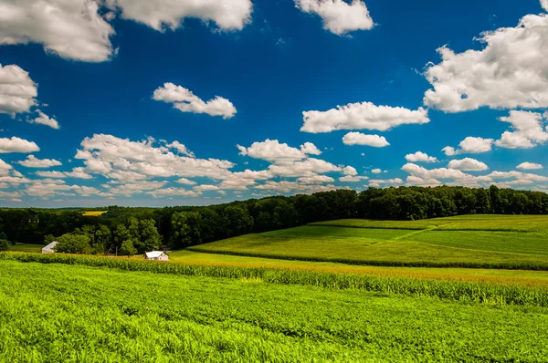 Nuvole sui campi agricoli nella contea rurale di Southern York, Pennsylva — Foto Stock