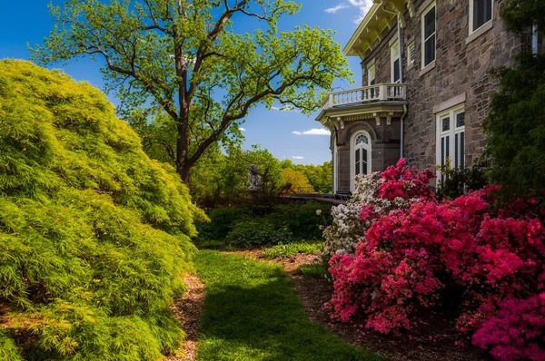 Kleurrijke bomen en struiken achter het herenhuis op cylburn arboretu — Stockfoto