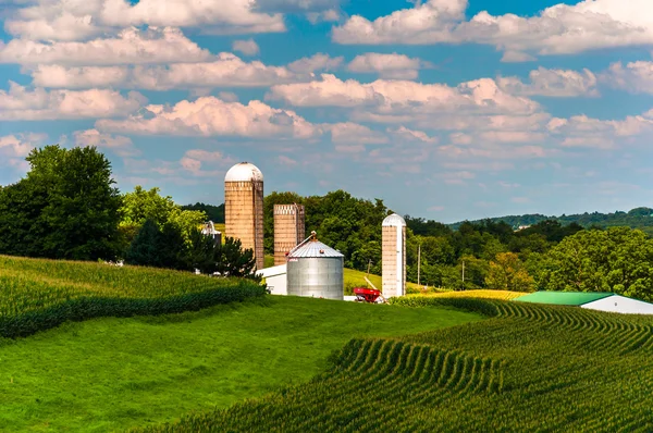 Pola kukurydzy i silosy na farmie w południowej york county, pennsyl — Zdjęcie stockowe