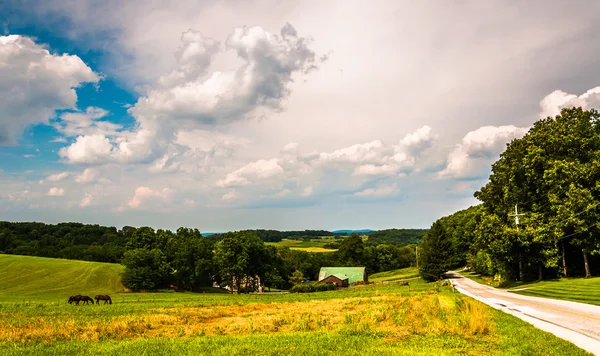 Kraj pól drogi i gospodarstwa w południowej york county, pennsylvan — Zdjęcie stockowe