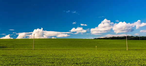 Country road and farm fields in rural York County, Pennsylvania. — Stock Photo, Image