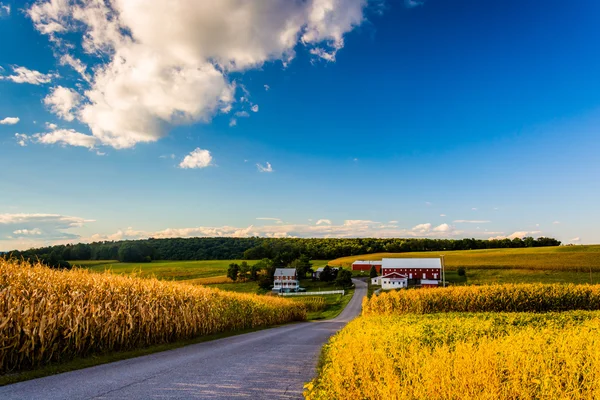 Polna droga i widok farmy w wiejskich york county, pennsylvan — Zdjęcie stockowe
