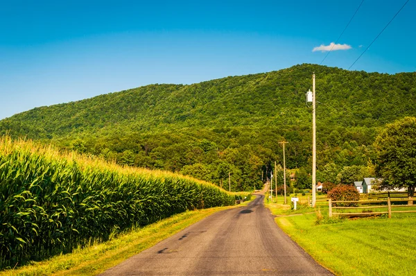Country road and view of the Blue Ridge Mountains in the Shenand — Stock Photo, Image