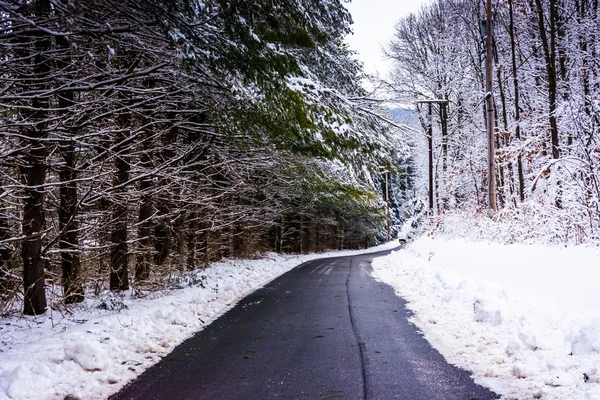 Country road during the winter in rural Carroll County, Maryland — Stock Photo, Image