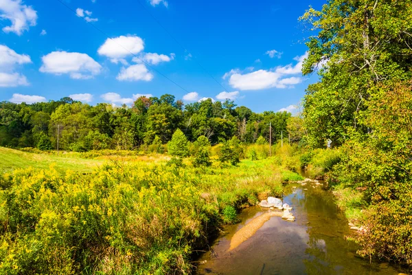 Creek en un prado en el condado rural de York, Pensilvania . — Foto de Stock