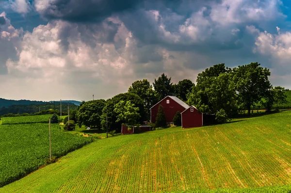 Dunkle Wolken über einer Scheune und Feldern im ländlichen Süden von York — Stockfoto