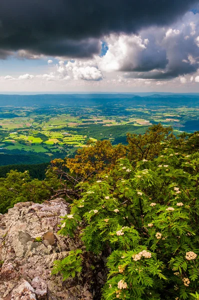 Mörka moln över shenandoah dalen, sett från stony man fjällen — Stockfoto