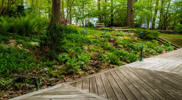 Paluba a barevné lesní zahrada s vysokými kapradinami a barevné f — Stock fotografie