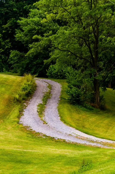 Camino de entrada de tierra y árbol en una colina . — Foto de Stock