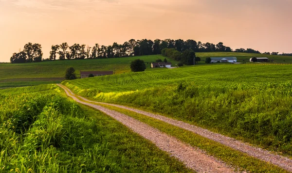 Dirt road and farm fields in rural Southern York County, Pennsyl — Stock Photo, Image