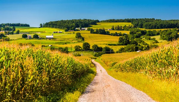 Camino de tierra y vista de granjas en el condado rural de York, Pensilvania . —  Fotos de Stock