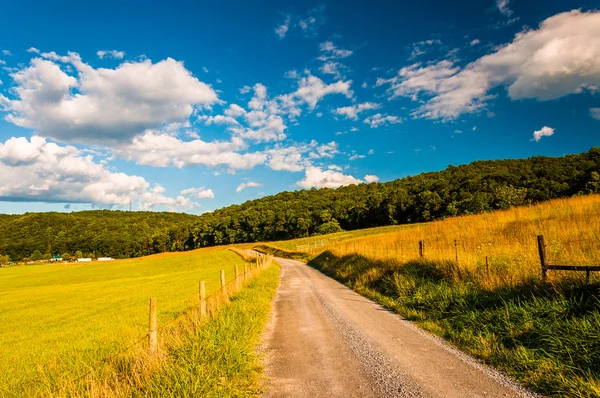 Dirt road in the Shenandoah Valley, Virginia. — Stock Photo, Image