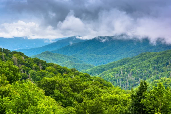 Dramática vista de las montañas Apalaches desde Newfound Gap Roa — Foto de Stock