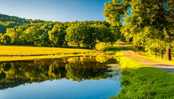 Einfahrt und Bäume, die sich in einem Teich im Shenandoah-Tal spiegeln — Stockfoto