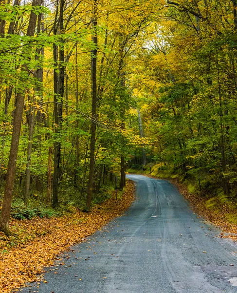 農村部のボルチモア カウントで田舎道に沿って早期秋の色 — ストック写真