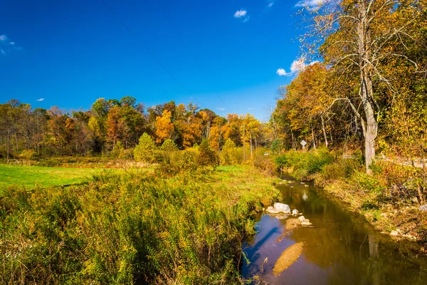 Color de principios de otoño a lo largo de un arroyo en el condado rural de York, Pennsylva — Foto de Stock