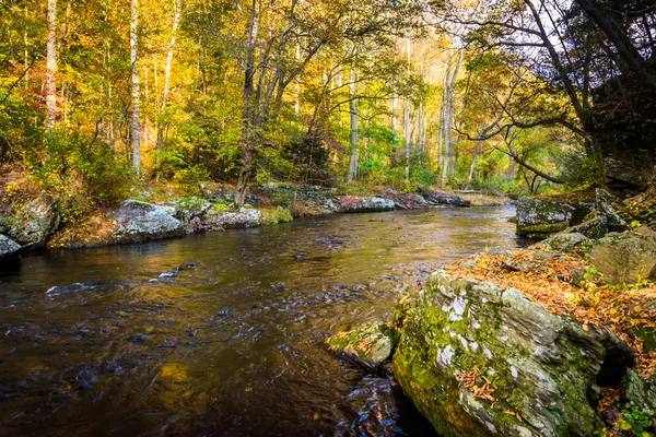 Cor do início do outono ao longo do rio Gunpowder em Gunpowder Falls — Fotografia de Stock