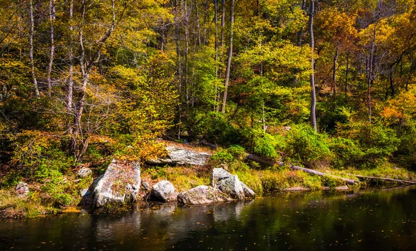 Color de principios de otoño a lo largo del río Gunpowder, en Gunpowder Falls — Foto de Stock