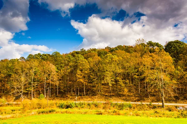 Frühherbstliche Farbe und eine Landstraße im ländlichen Kreis York, penn — Stockfoto