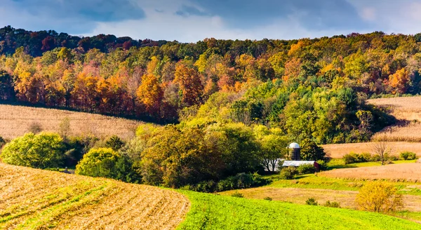 Tidlig høstfarge på landsbygda i York County, Pennsylvania . – stockfoto