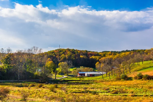 Frühherbstliche Farbe im ländlichen Kreis York, Pennsylvania. — Stockfoto
